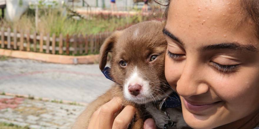 SATIN ALMA, SAHİPLEN