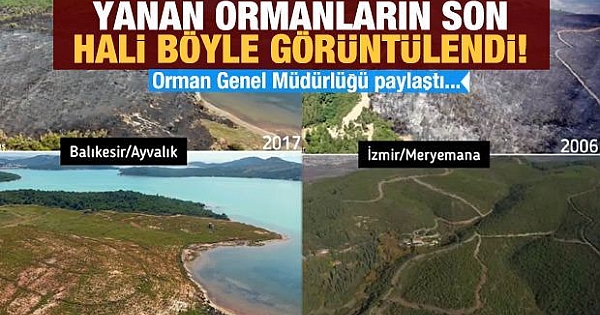 Külden yeşile dönüşüyorlar