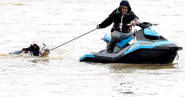 2021'de dünyanın en iyi fotoğrafları seçildi