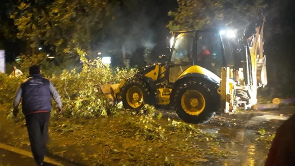 Antalya'da fırtına ağaçları kökünden söktü