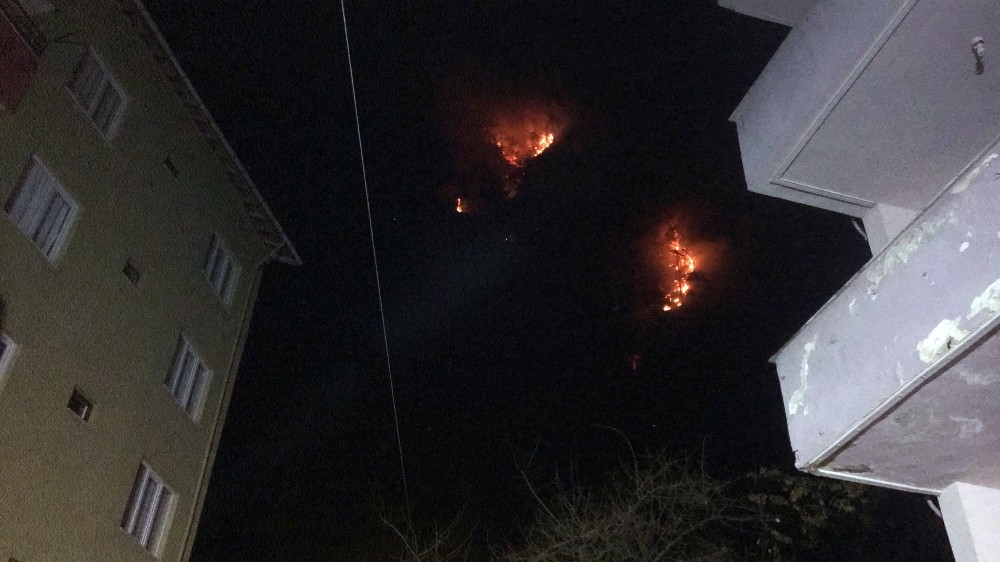 Bartın'daki orman yangınında 7 ev tahliye edildi