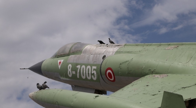 "Uçan tabut" kuşlara kaldı