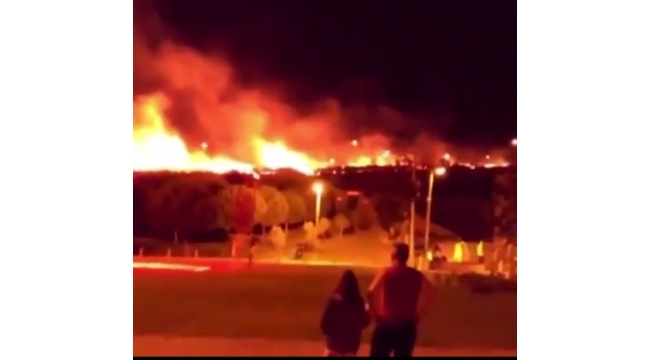 İzmir'de korkutan yangın! Alevler parkı sardı