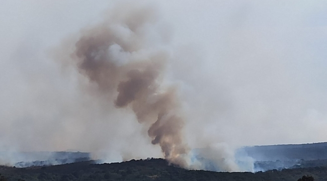 Bulgaristan'daki orman yangını Türkiye'ye ilerliyor