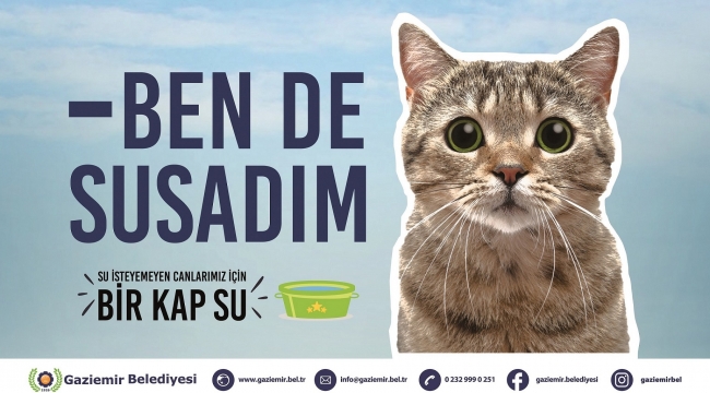 Gaziemir'de sokak hayvanlarına özel kampanya