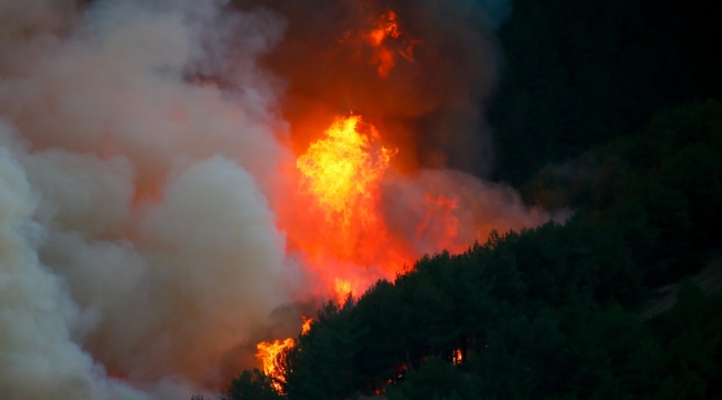 İzmir'deki orman yangınıyla ilgili 1 gözaltı
