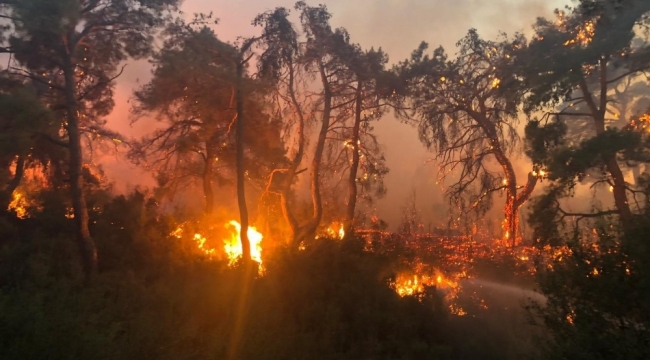 Manisa'daki orman yangını tek noktada devam ediyor