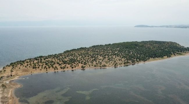Hülya Avşar'ın ada satın alacağı yalanlandı