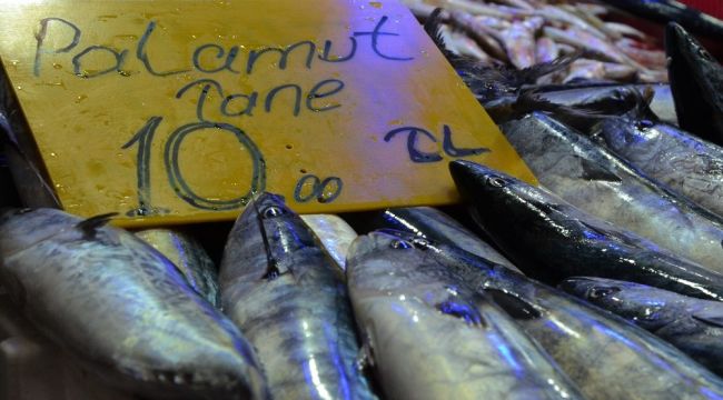 Plamut balığı 10 liraya geriledi