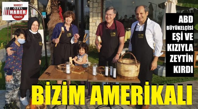 ABD Büyükelçisi zeytin hasadı yaptı