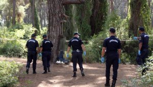 Ağaçta asılı bulunduğu ipin satın alma fişi cebinden çıktı