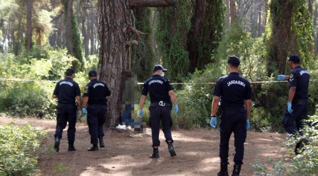 Ağaçta asılı bulunduğu ipin satın alma fişi cebinden çıktı