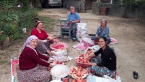 Aydın'da narlar şifa için kaynatıldı