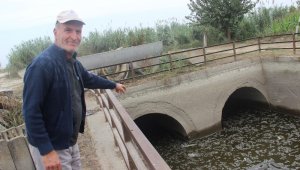 Barajlardan gelen su kesilince balıklar telef oldu