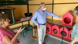 Başkan Atabay'dan kedi evine ziyaret