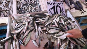 Bozkırda da hamsi fiyatı çakıldı