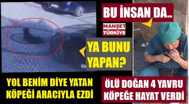 Buna insan denir de, ona ne denir? - Manşet Türkiye