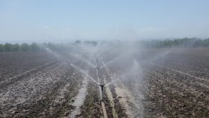 Bursa'da bu yıl içinde 622 bin dekar tarım arazisi sulandı