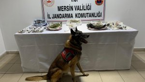 "Çaylak" ve "Dünya" uyuşturucuya geçit vermiyor