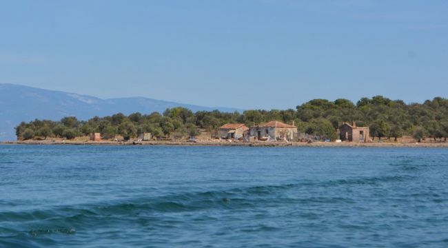 Çiçek Adası'nın 17 yıllık sakinleri grip bile olmadı