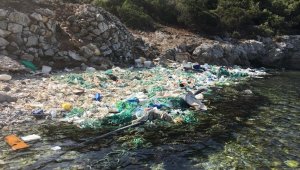 Denizin ortasında utandıran görüntüler