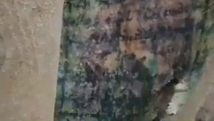 Gaziantep'te 1 milyon dolar değerinde İncil ele geçirildi