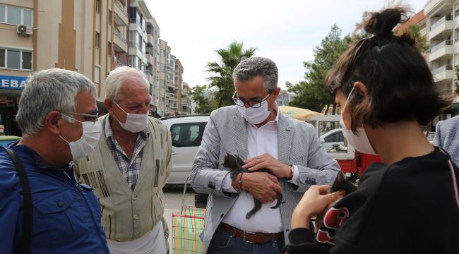 Gaziemir'de can dostlar yeni yuvalarına kavuştu