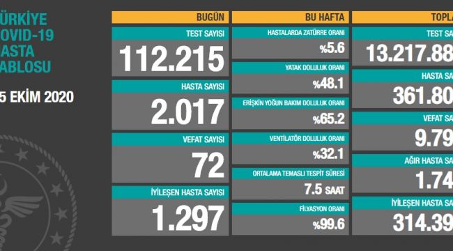 Hem hasta sayısı hem ağır vaka sayısı artıyor