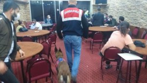 İzmir'de dernek ve depolara kumar baskını