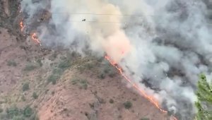 Kahramanmaraş'ta orman yangını