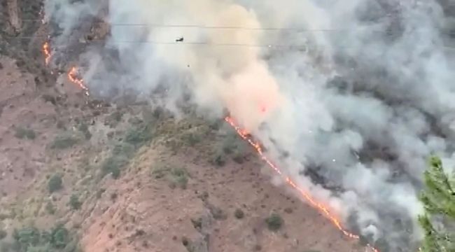 Kahramanmaraş'ta orman yangını