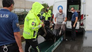 Kaldırıma çarpıp tahliye kanalına düşen motosiklet sürücüsü öldü