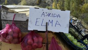 Karayolu kenarında 'Askıda Elma'