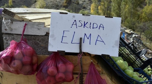 Karayolu kenarında 'Askıda Elma'