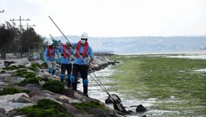 Karşıyaka sahili deniz marullarıyla doldu