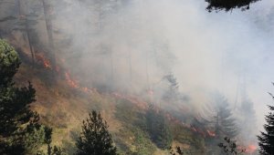 Kastamonu'daki orman yangını üçüncü gününde