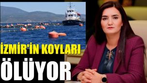 Kılıç'tan balık çiftlikleri önergesi