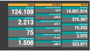Koronadan ölü sayısı 10 bin 252 oldu