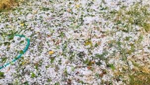 Manisa'yı dolu vurdu