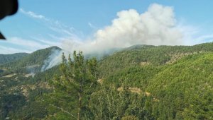 Mersin'de orman yangını