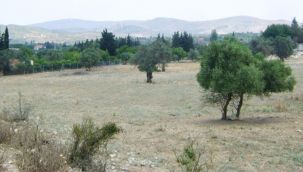 Milli Emlak, İzmir'de arsa ihalesine çıkıyor