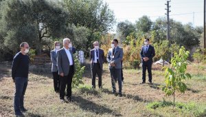 "Muğla, turizmden daha fazlasını tarımdan kazanabilir"