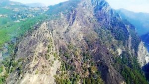 Orman yangını sonrası kahreden görüntüler