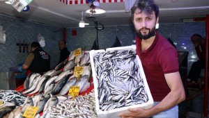 Palamuda 'elveda', hamsiye 'merhaba'