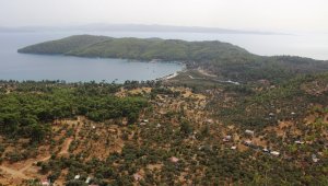 Pandemi Muğla'da arazi fiyatlarını uçurdu
