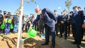 Parlamento gazetecilerine Ihlamur Ormanı