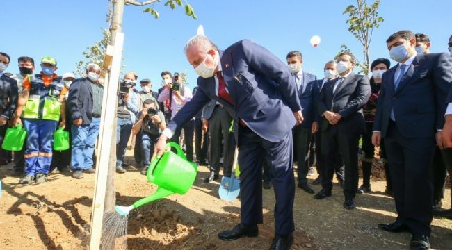 Parlamento gazetecilerine Ihlamur Ormanı