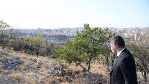 Pursaklar'da yeşil alan seferberliği