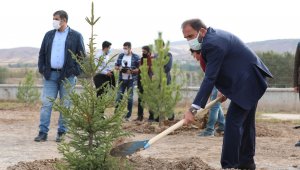 Sivasspor 1967 fidan dikti