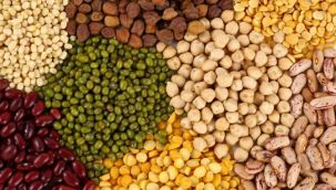 Suriye'ye tonlarca un ve bakliyat hibe ediyoruz